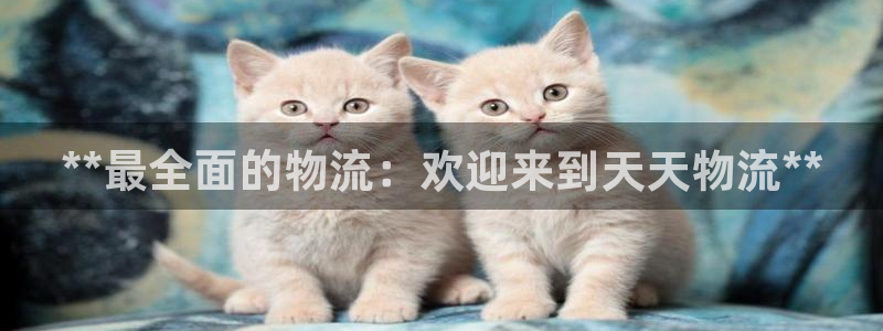 28圈麻将胡了爆分视频：**最全面的