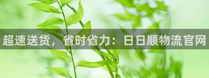 28圈怎么注册账号和密码：超速送货，