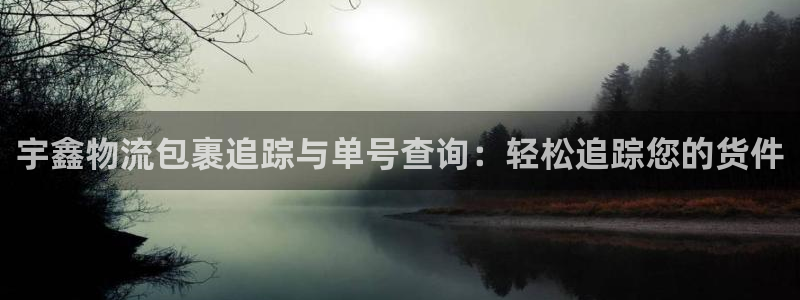 28圈怎么申请代理：宇鑫物流包裹追踪