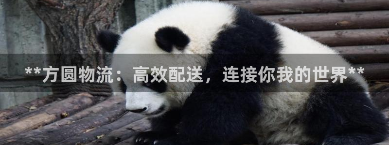 28圈推广链接是多少个