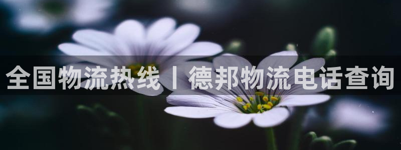 28圈黑吗：全国物流热线丨德邦物流电