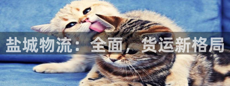 28圈大舞台