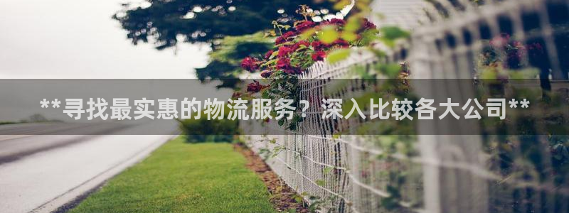 28圈怎么下载：**寻找最实惠的物流