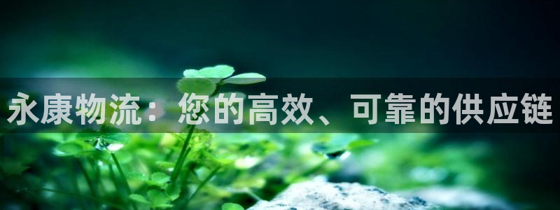 28圈注册网站谁有：永康物流：您的高
