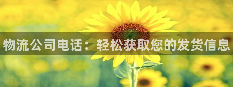 28圈游戏官网版：物流公司电话：轻松