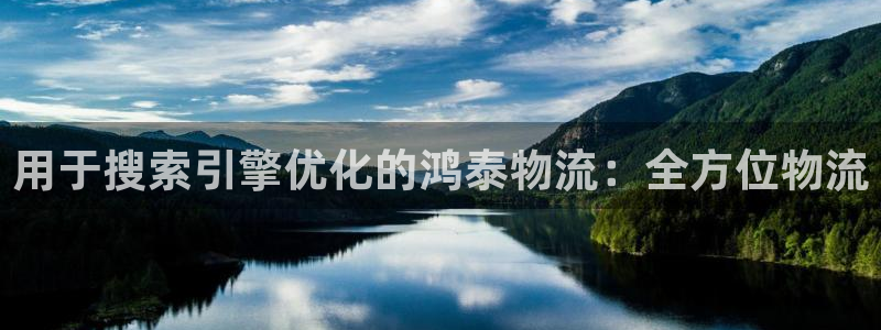 28圈取保：用于搜索引擎优化的鸿泰物