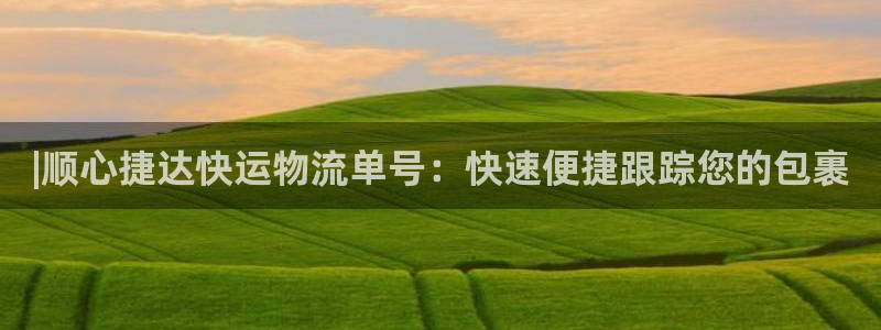 28圈链官网：|顺心捷达快运物流单号