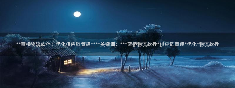 28圈旗下：**蓝桥物流软件：优化供