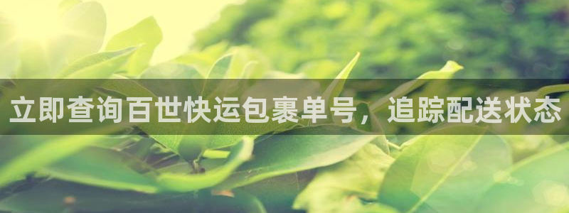 28圈注册网页版：立即查询百世快运包