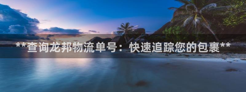28圈注册入口与教程：**查询龙邦物