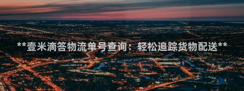 28圈注册平台：**壹米滴答物流单号