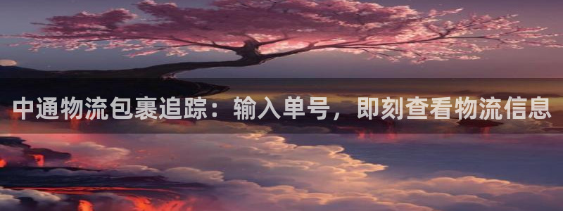 28圈登录流程：中通物流包裹追踪：输
