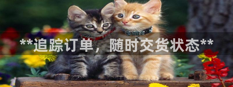 28圈aPP退款：**追踪订单，随时
