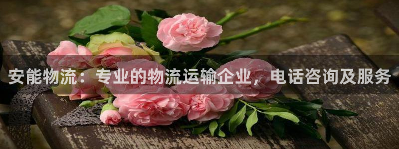 28圈官方网站是多少：安能物流：专业