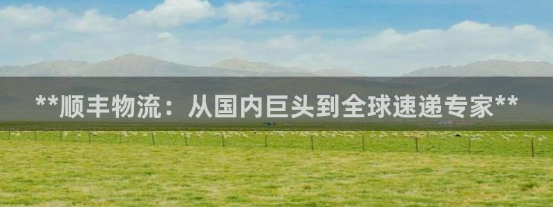 28圈下载链接是多少：**顺丰物流：