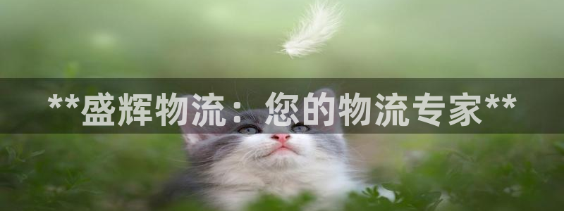 28圈充值方式：**盛辉物流：您的物