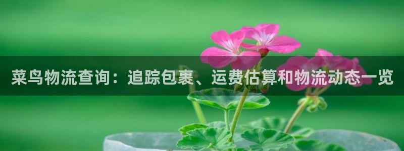 28圈链接是什么