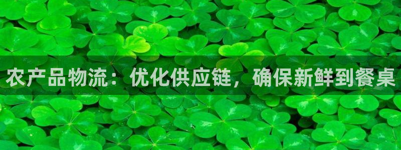 28圈官方