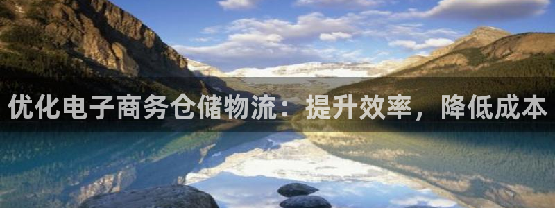 28圈比特28预测在线预测：优化电子