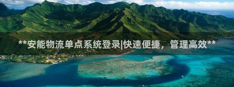 28圈模拟器在线使用：**安能物流单