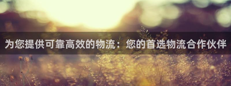 28圈加拿大