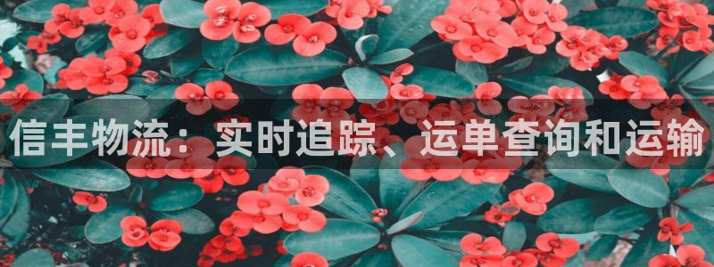 28圈防失联网址：信丰物流：实时追踪