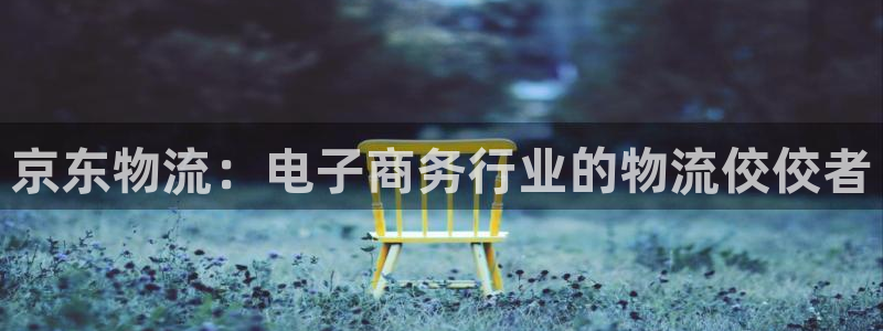 28圈注册上限是啥意思：京东物流：电