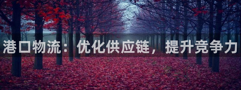 28圈官网多少