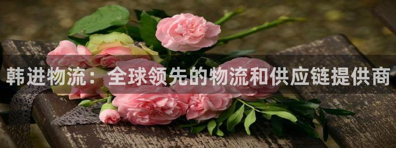 28圈娱乐官网网页入口：韩进物流：全