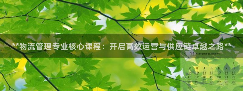28圈官方平台