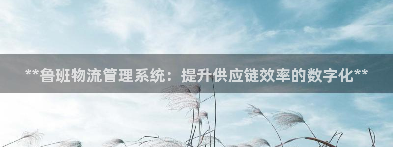28圈游戏链接