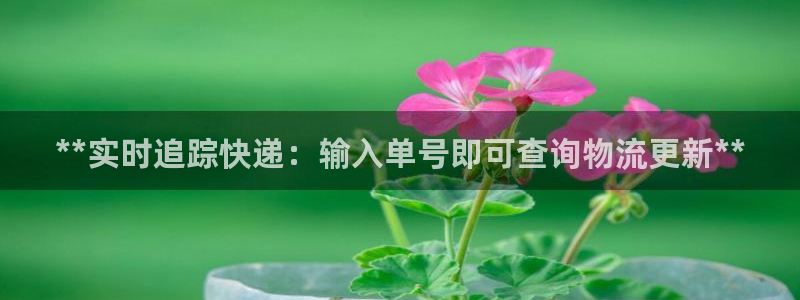 28圈平台注册：**实时追踪快递：输