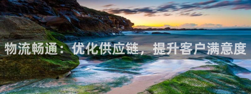 28圈模拟器在线使用：物流畅通：优化