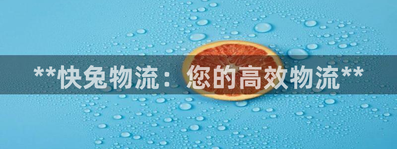 28圈人头费：**快兔物流：您的高效