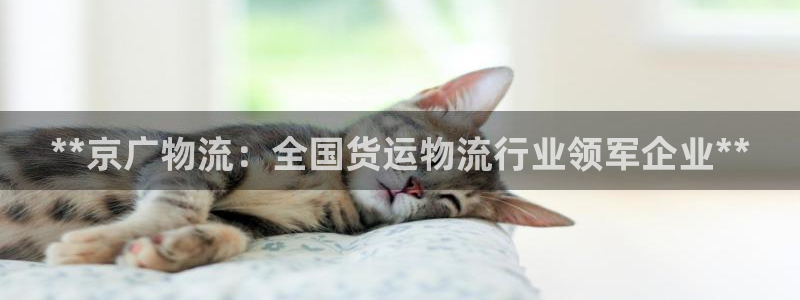 28圈加拿大怎么玩