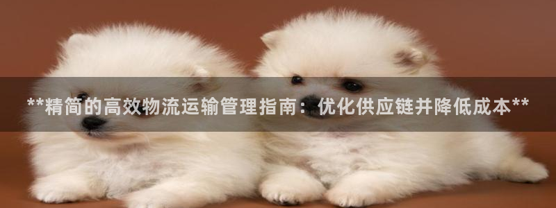 28圈加拿大走势