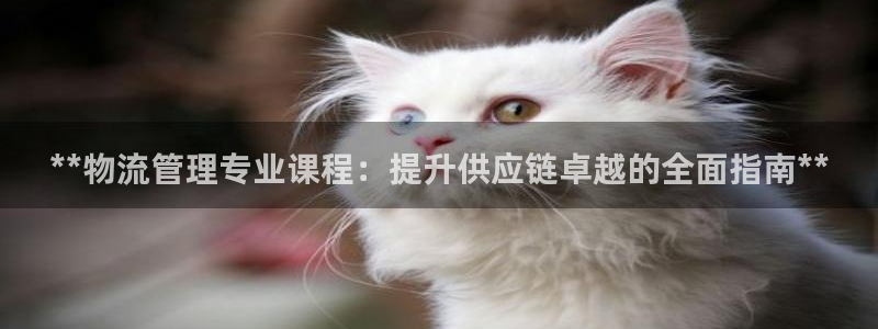 南宫28圈怎么注册：**物流管理专业