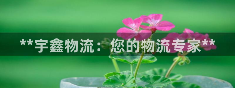 28圈v6能卖多少