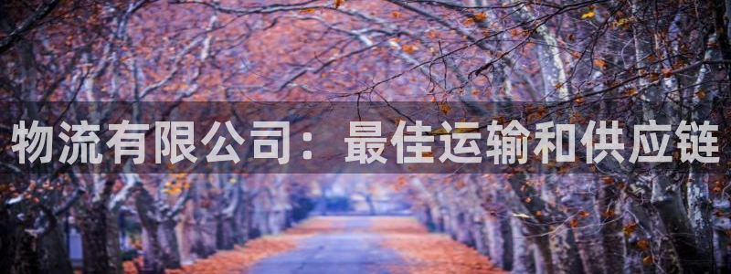 28圈娱乐官网网页：物流有限公司：最