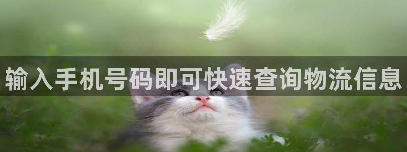 28圈官方