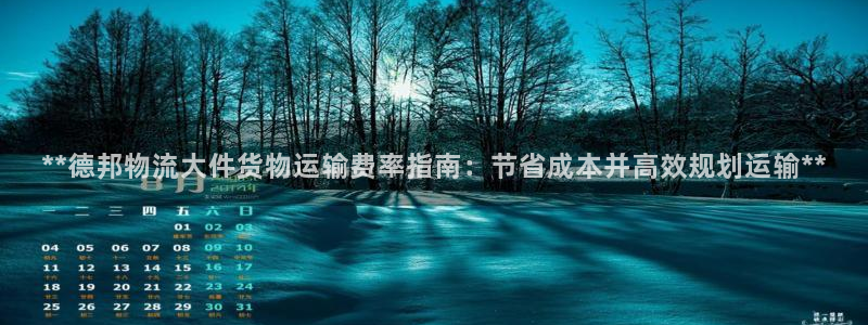 28圈预测网