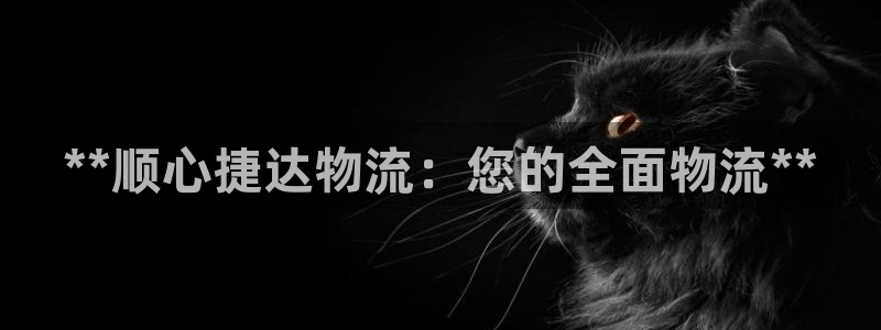 28圈是干嘛的