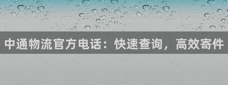 28圈口