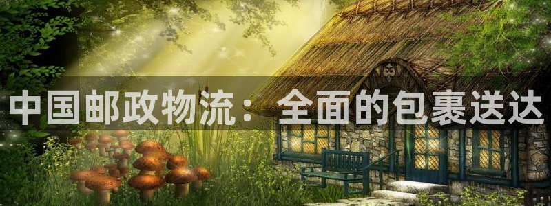 28圈注册网站多少：中国邮政物流：全