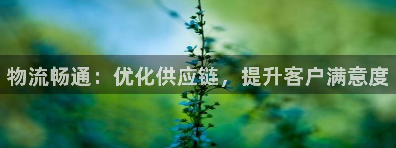 28圈注册二维码：物流畅通：优化供应