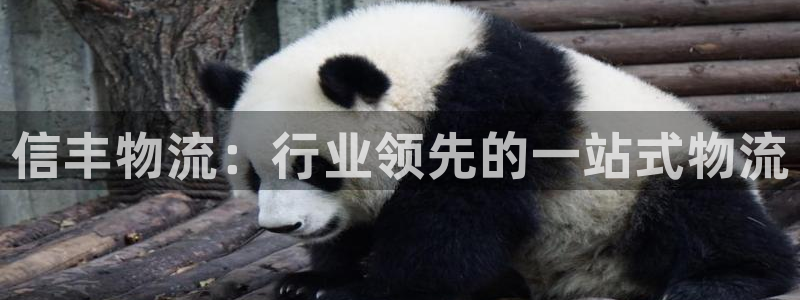 28圈和南宫28什么关系：信丰物流：