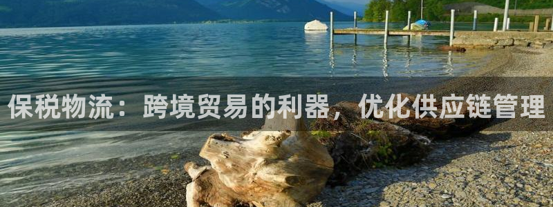 28圈模拟器在线使用：保税物流：跨境