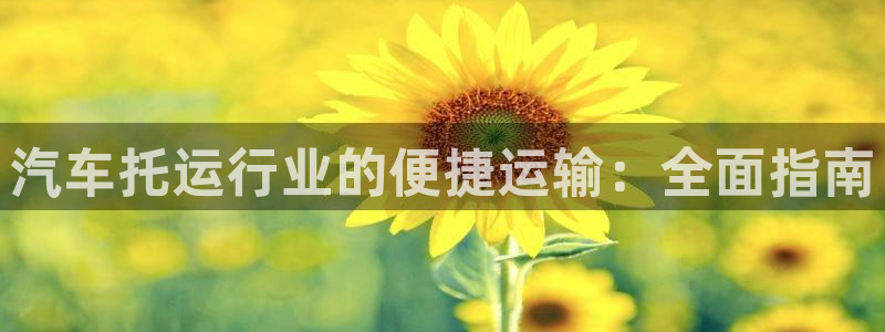 28圈玩法：汽车托运行业的便捷运输：