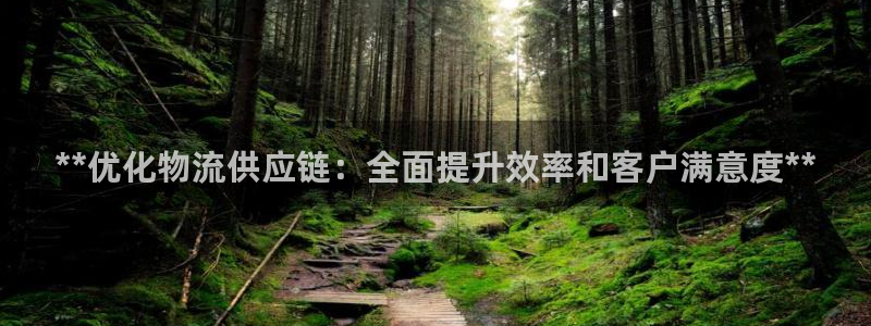 28圈注册网站APP：**优化物流供