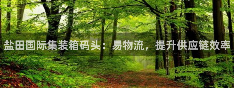 28圈注册入口与教程：盐田国际集装箱